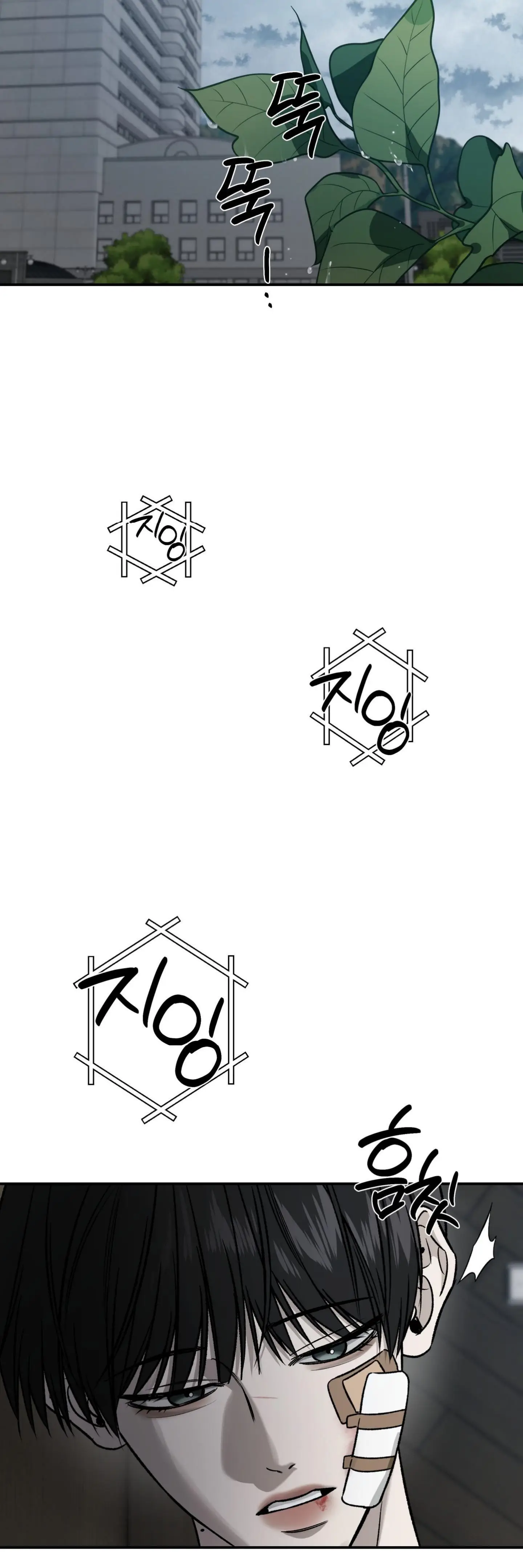 Image page 19