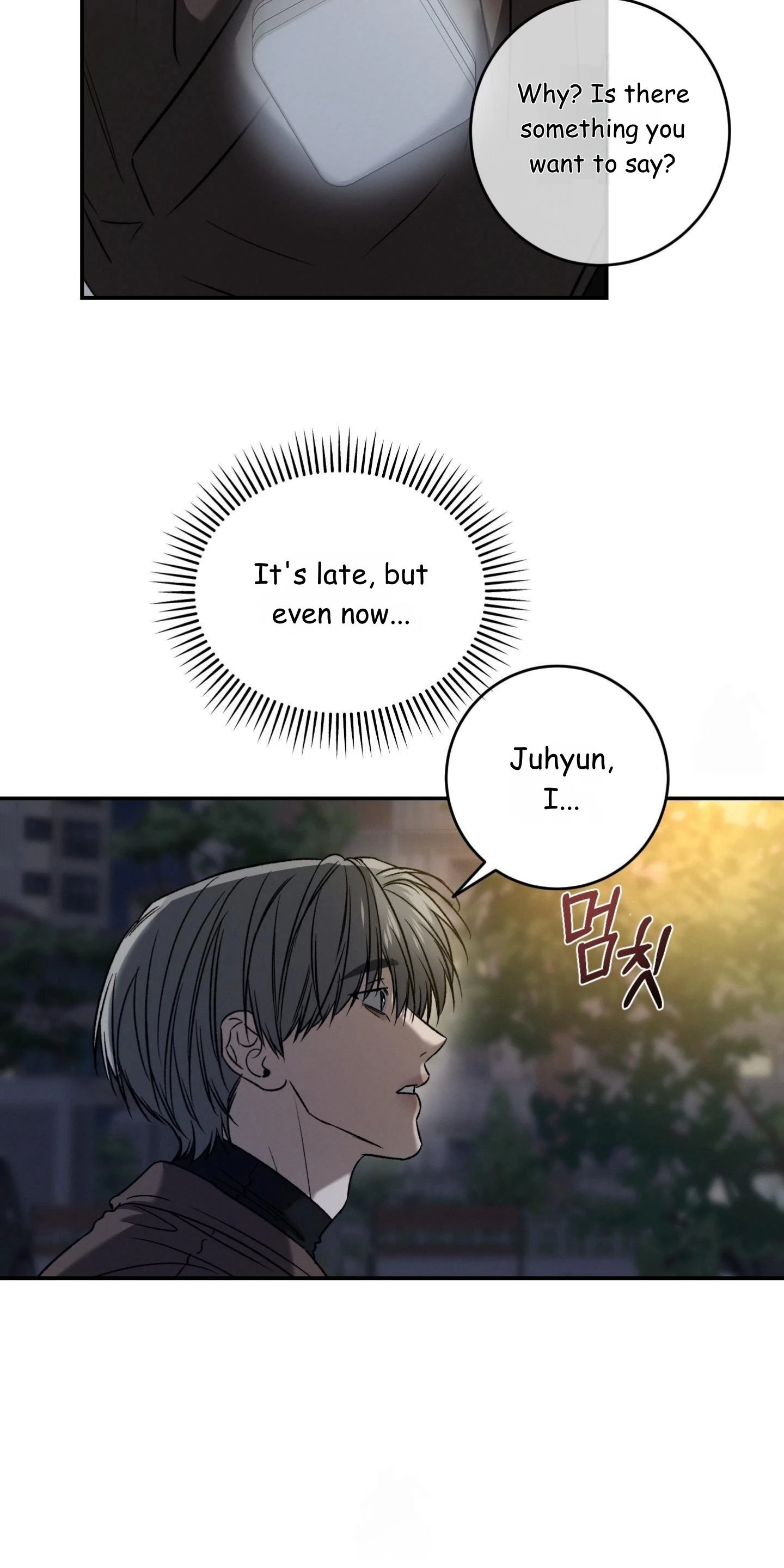 Image page 11
