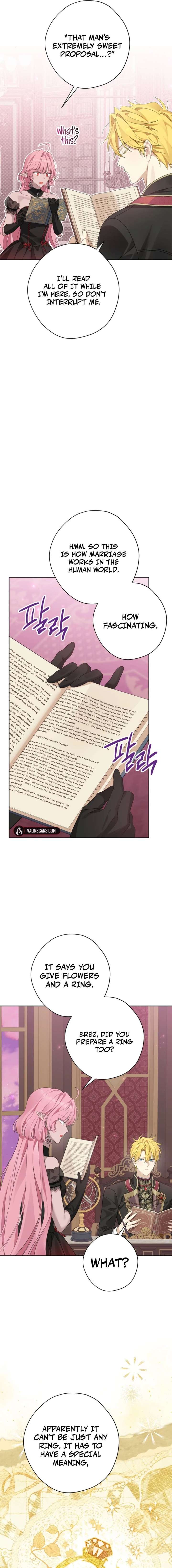 Image page 8