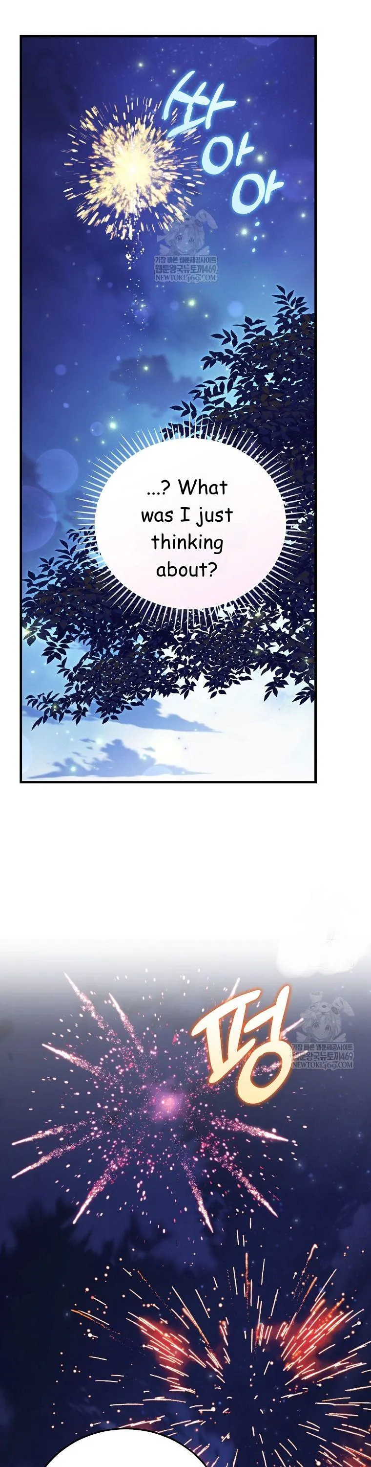 Image page 11