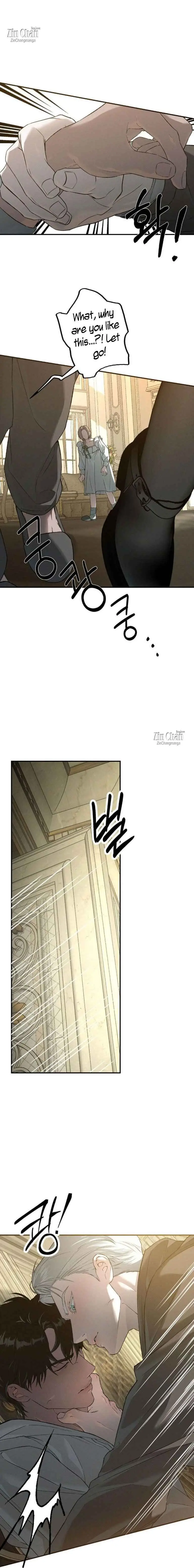 Image page 12