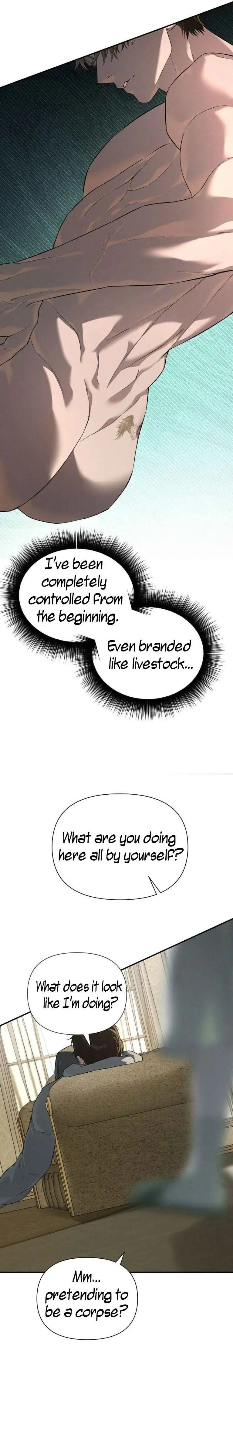 Image page 7