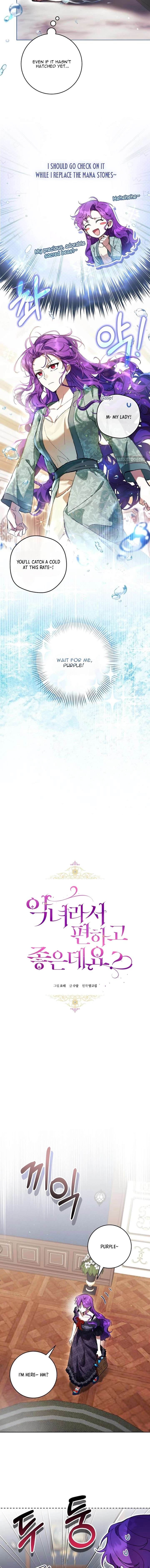 Image page 3