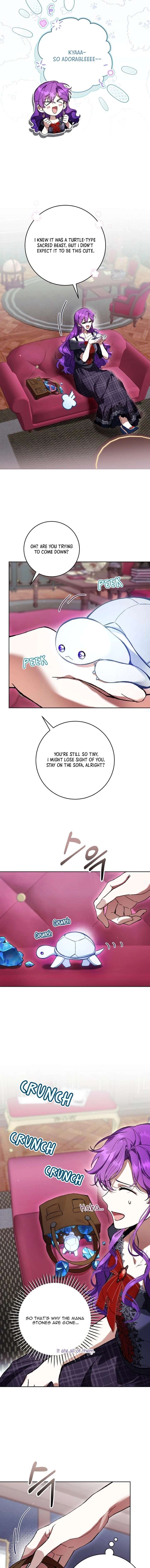 Image page 6