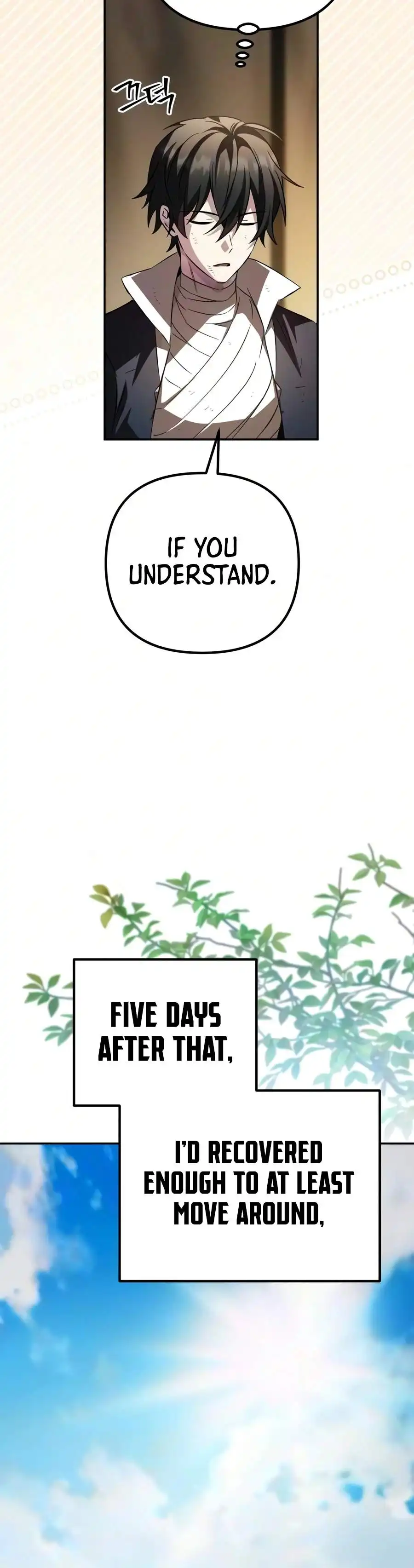 Image page 12