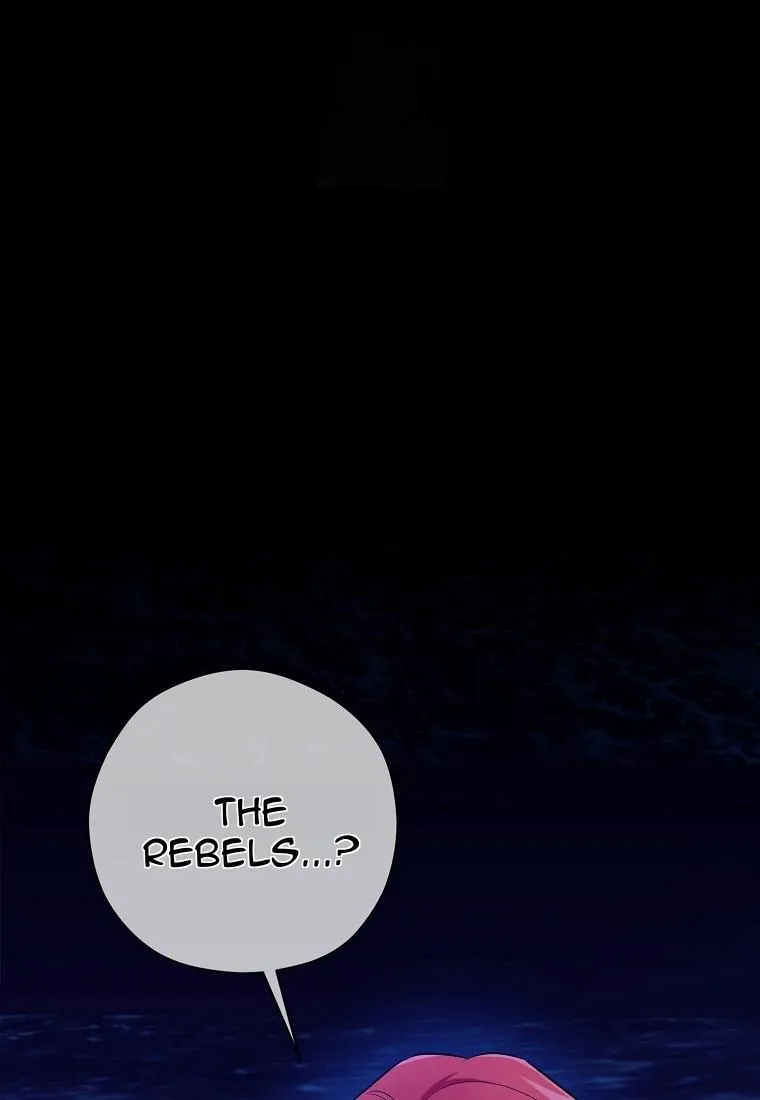 Image page 24