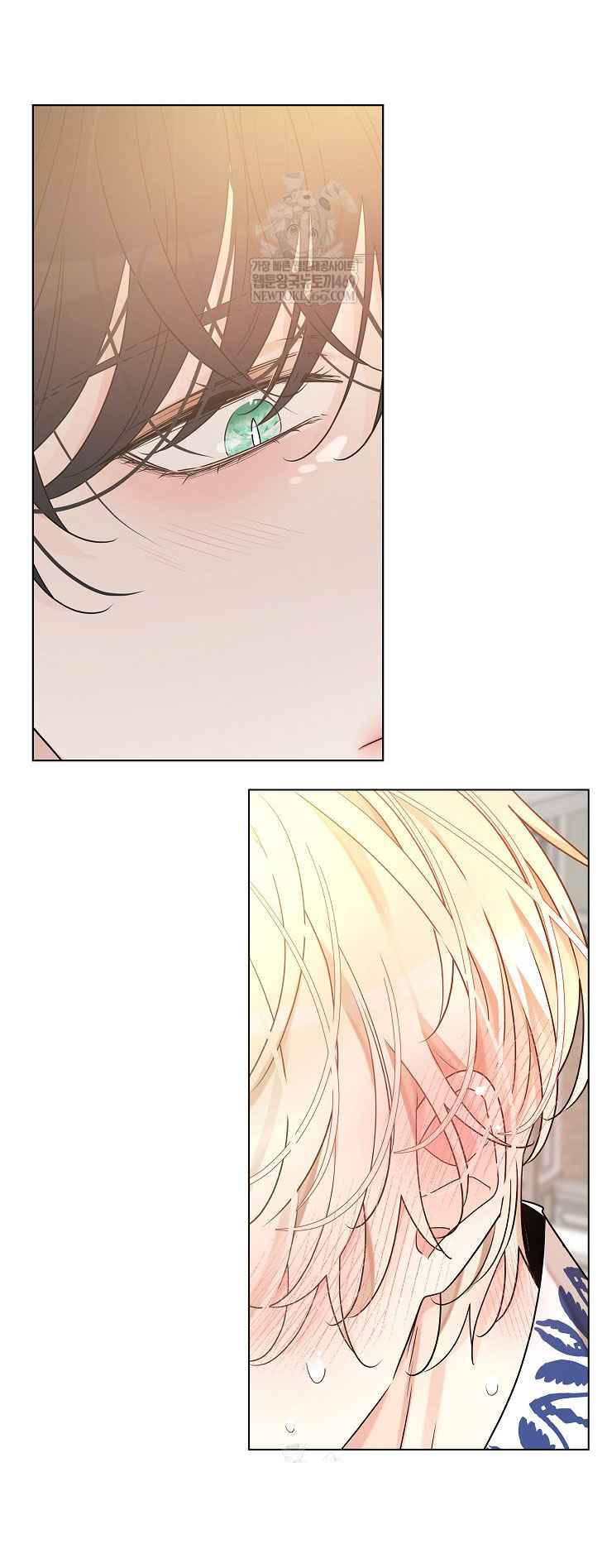 Image page 13