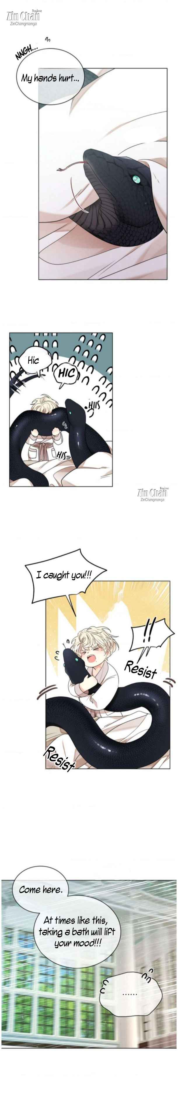 Image page 3