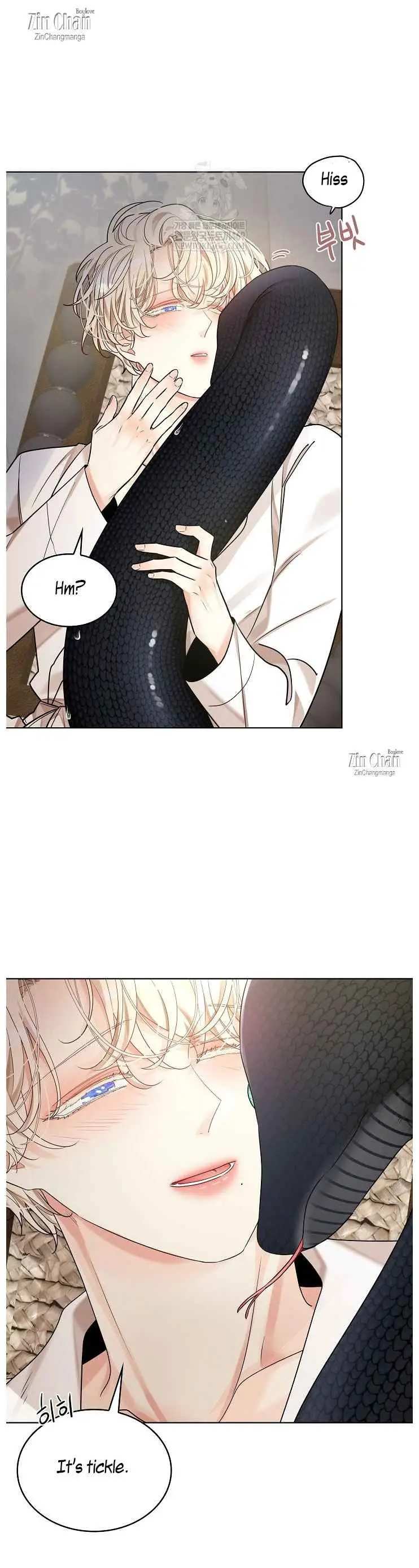 Image page 3