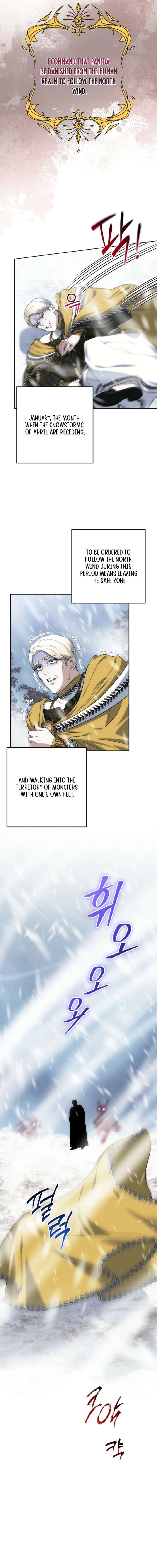 Image page 12