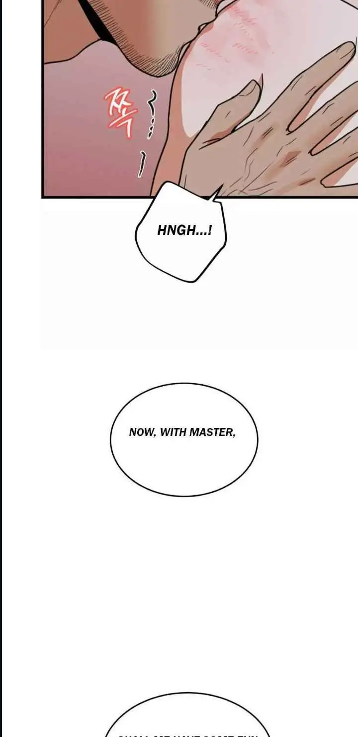 Image page 11