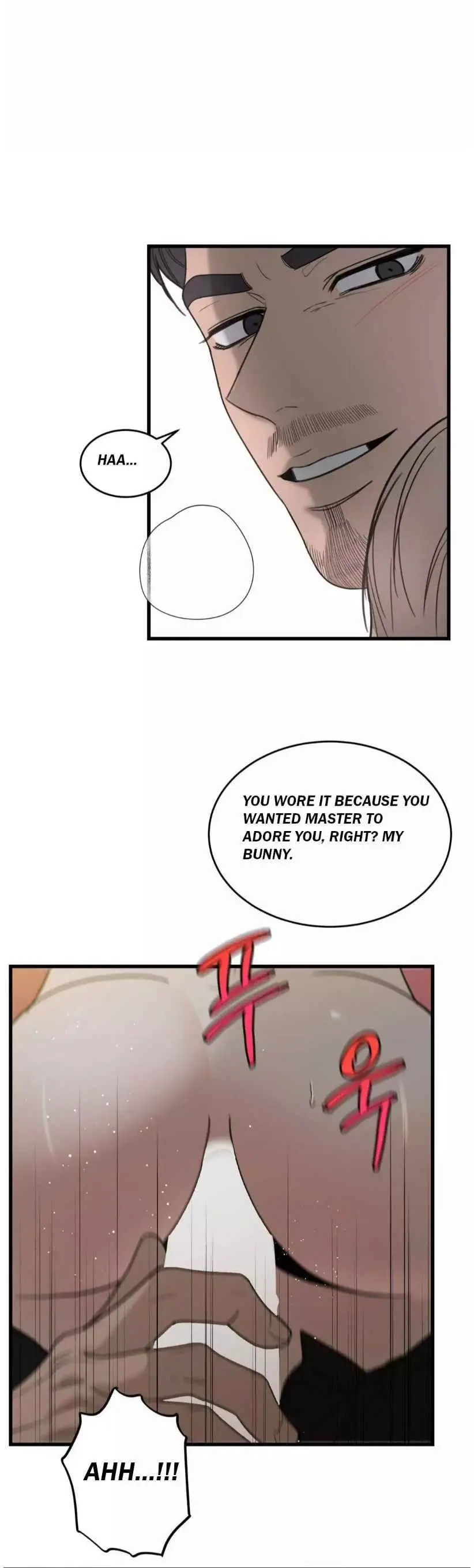 Image page 12