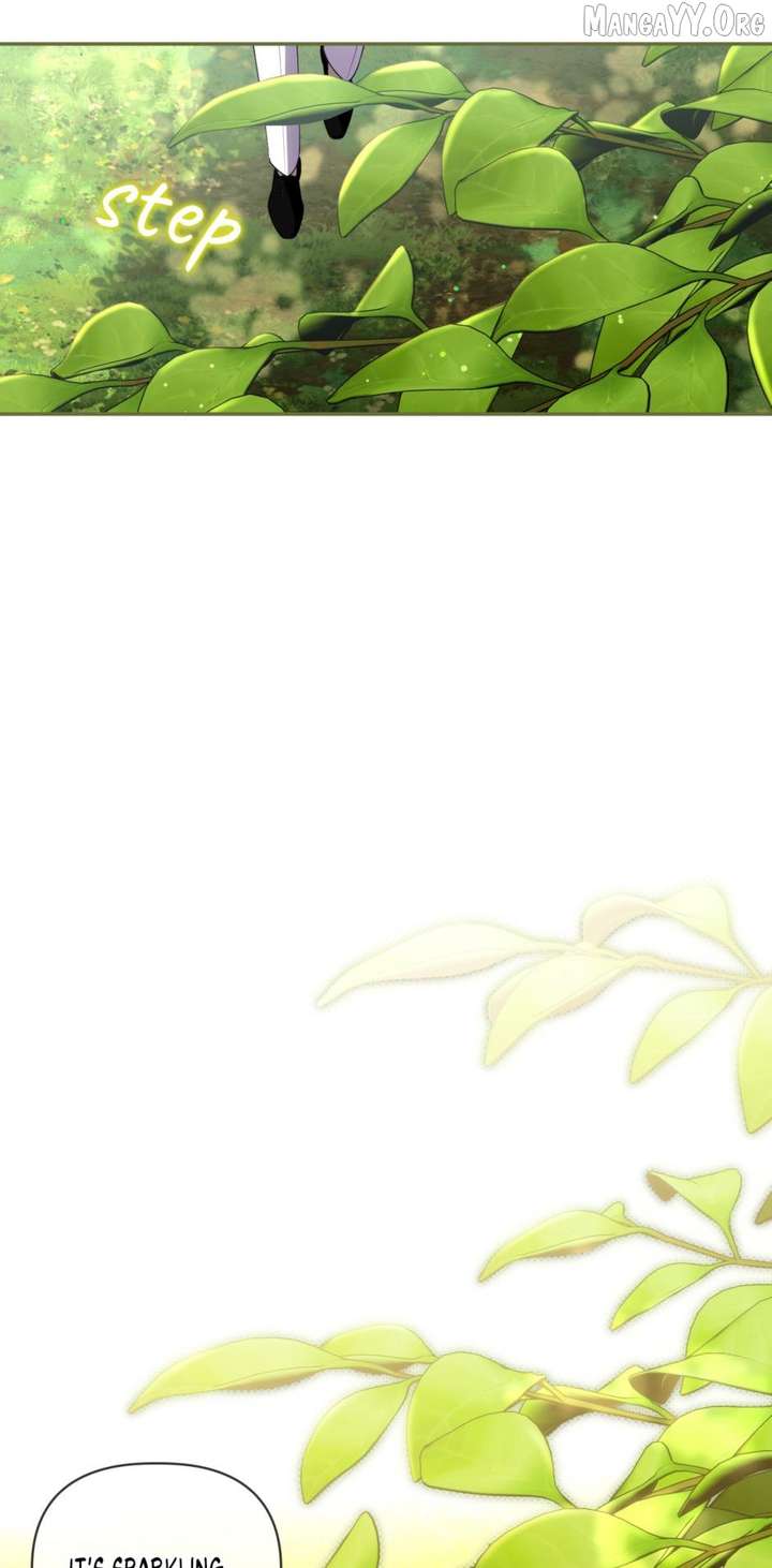 Image page 21