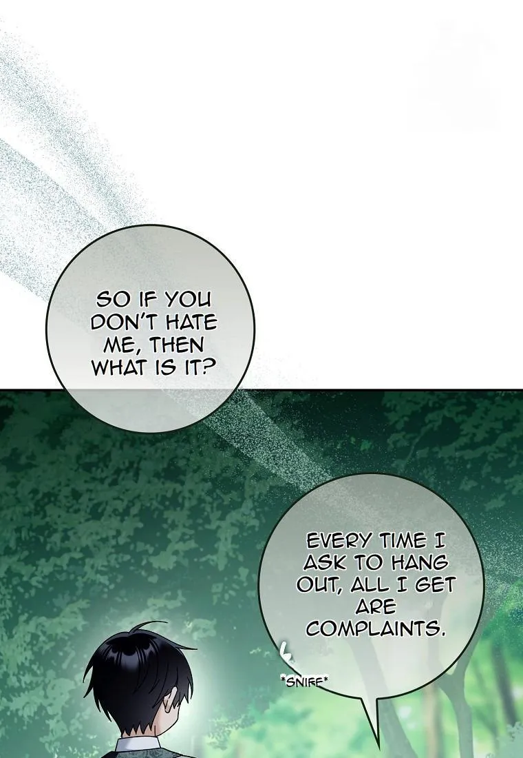 Image page 12