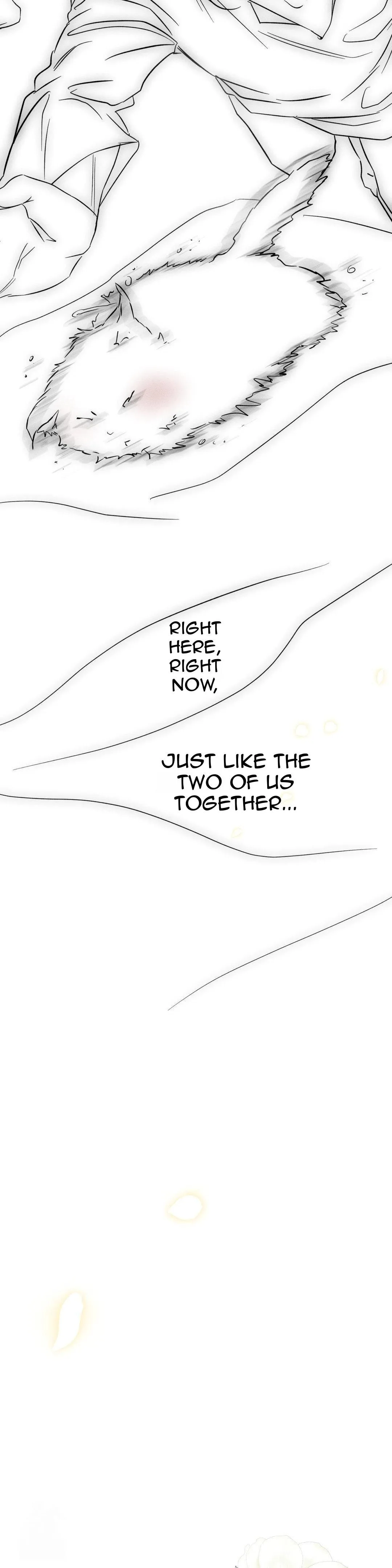 Image page 38