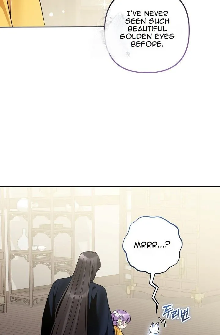 Image page 24