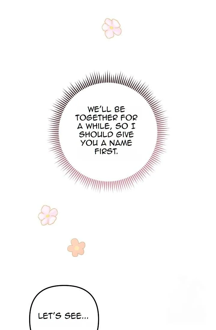 Image page 39