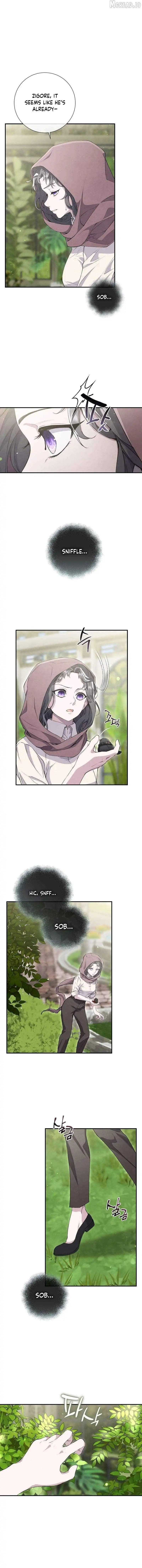 Image page 9