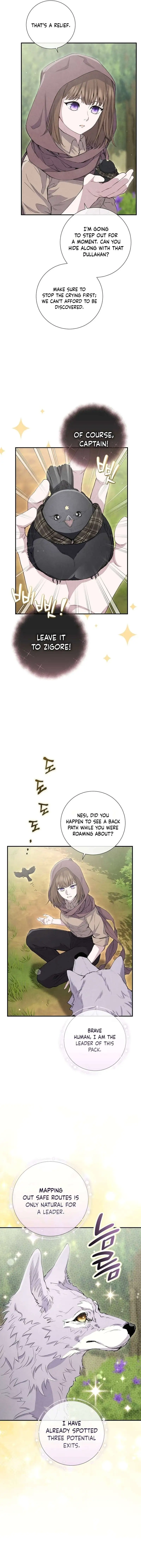 Image page 9