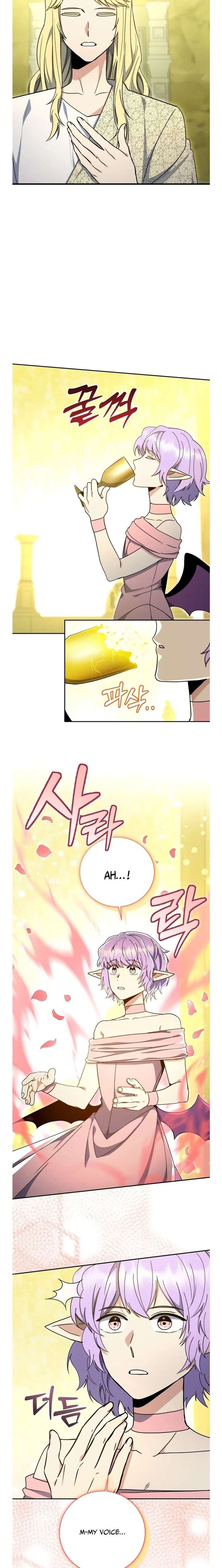 Image page 8
