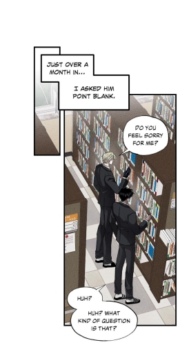 Image page 11