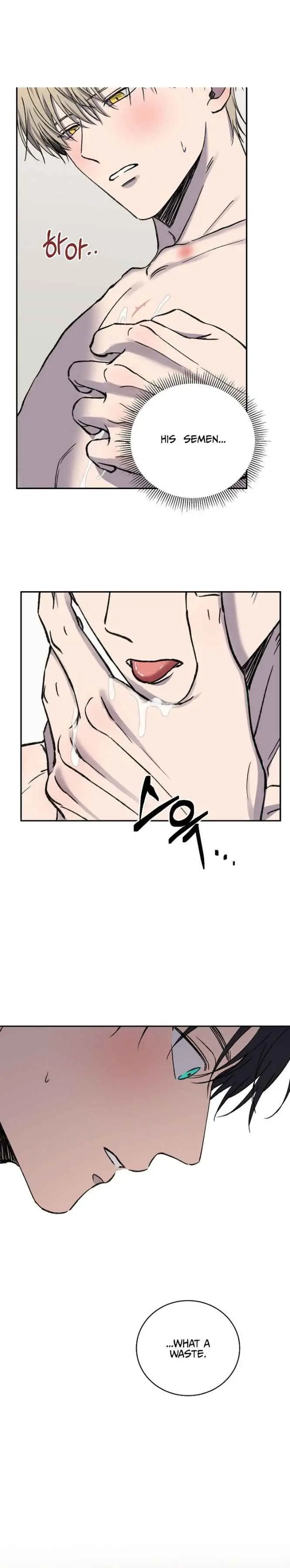 Image page 12