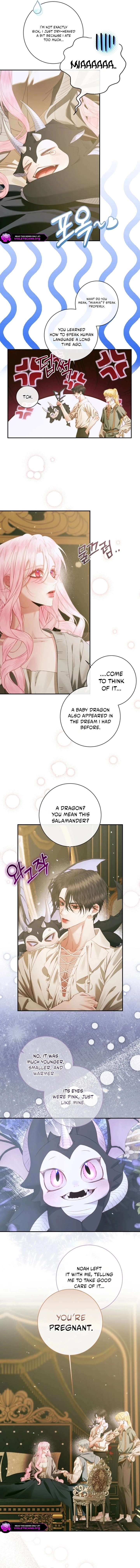 Image page 5