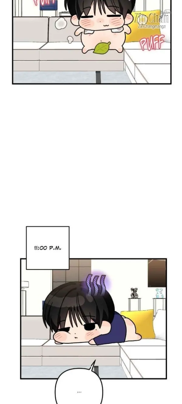 Image page 5