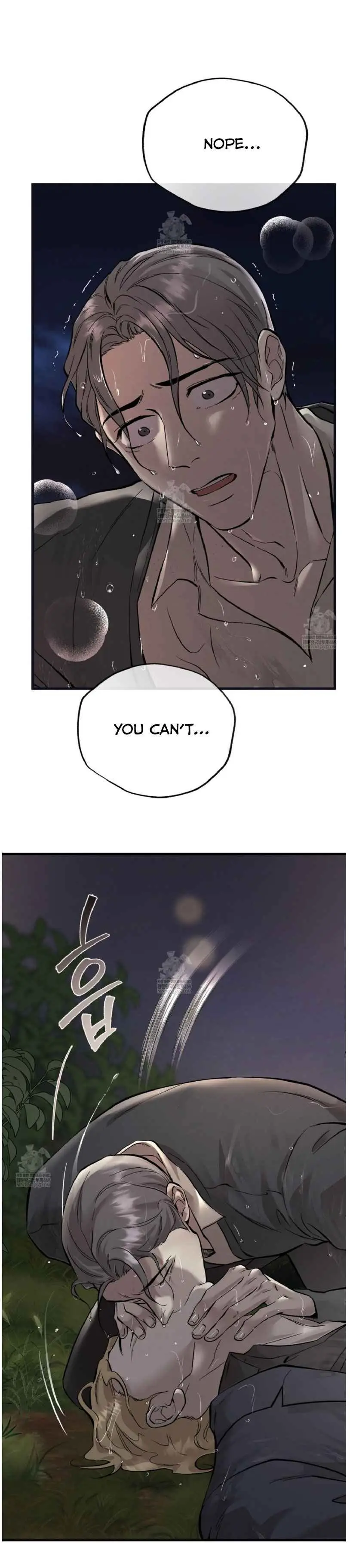 Image page 2
